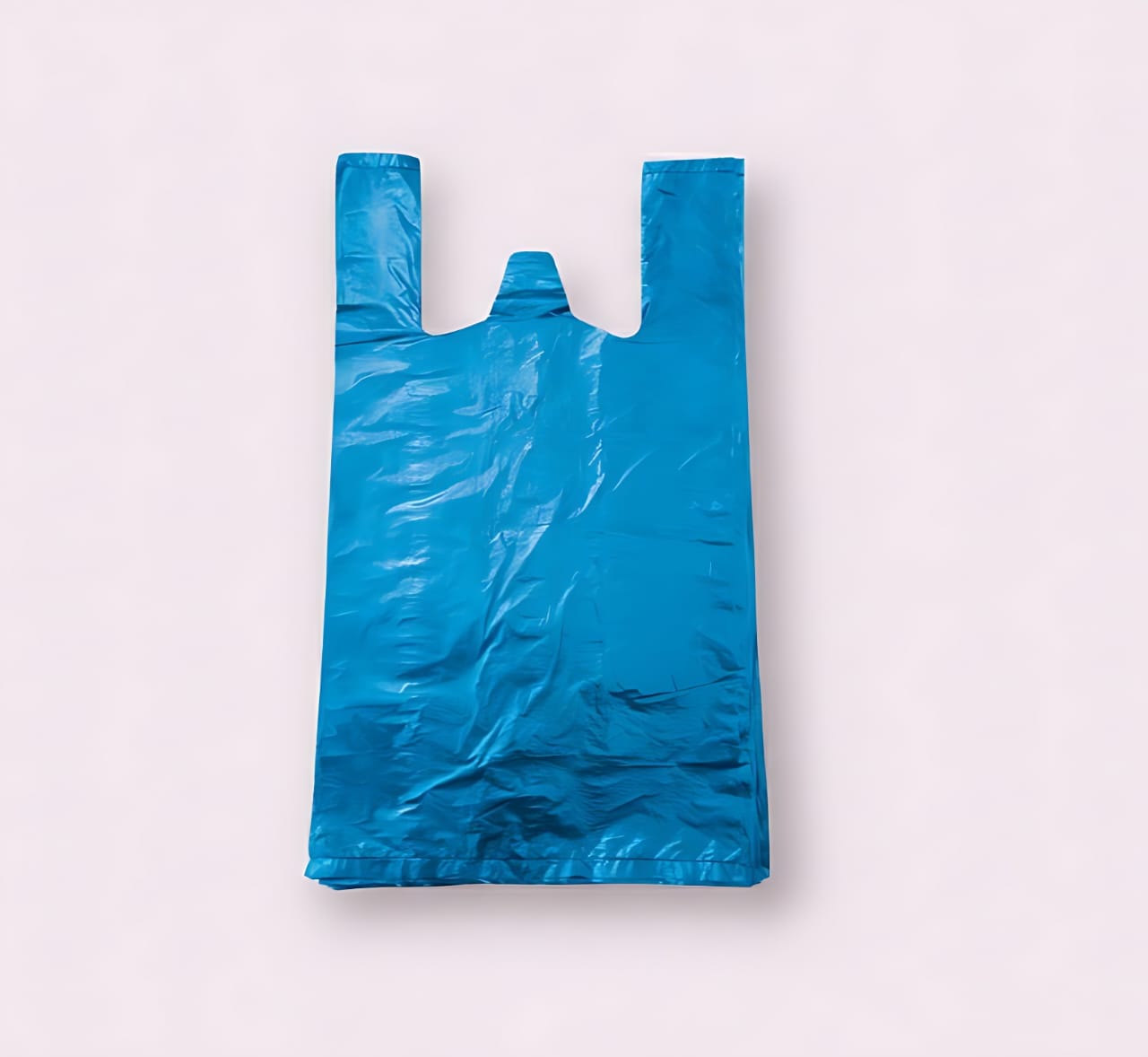 Sachets bretelles standards - 250 x 460 mm